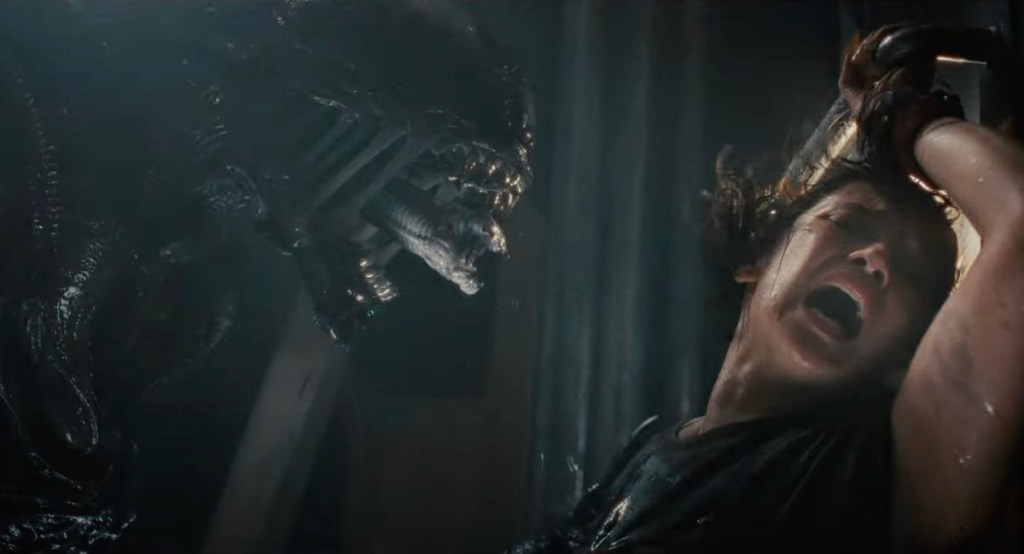 Media Diary (August&nbsp;2024)