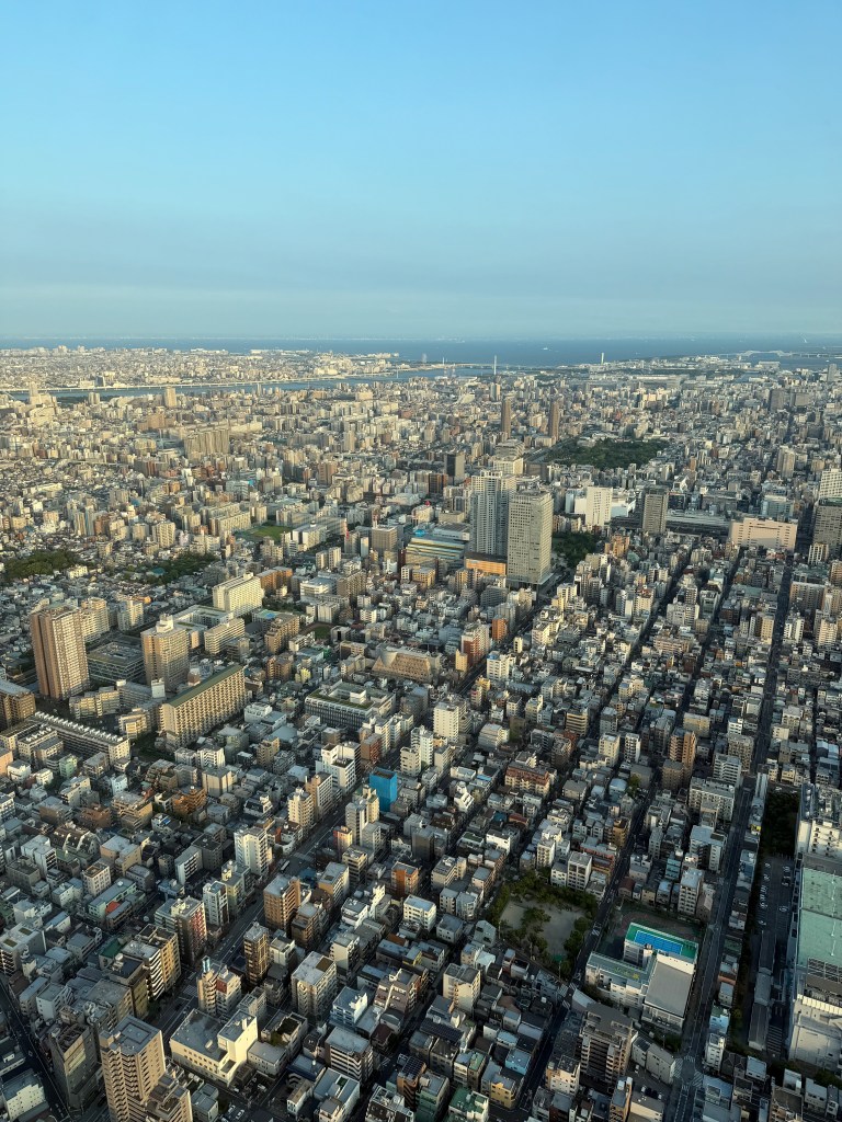 From the top of Tokyo Skytree
