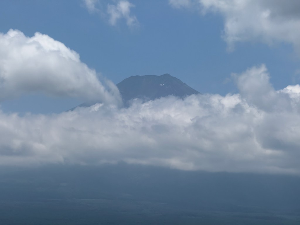 Mt. Fuji area