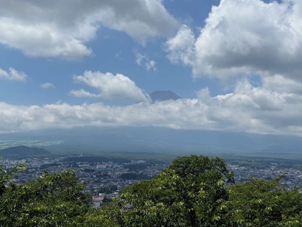 Mt. Fuji area