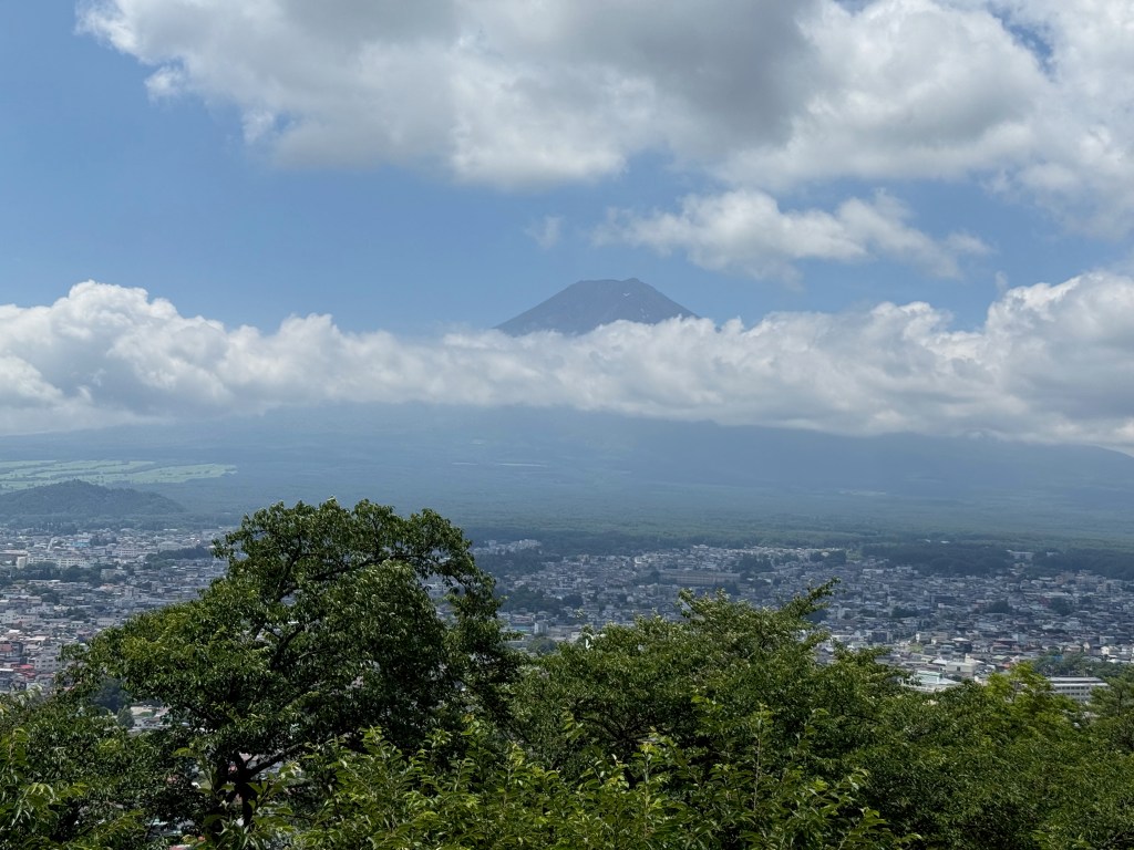 Mt. Fuji area