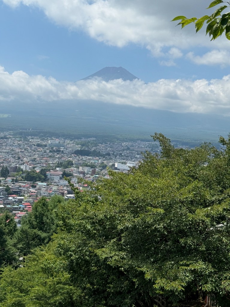 Mt. Fuji area